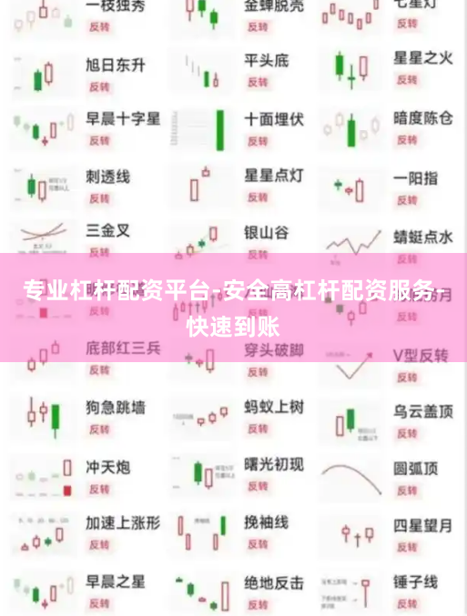 专业杠杆配资平台-安全高杠杆配资服务-快速到账
