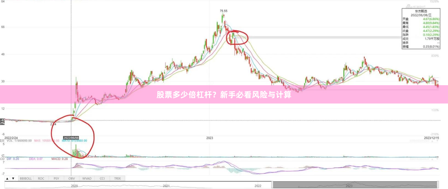 股票多少倍杠杆？新手必看风险与计算